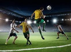 绿美广州体,育文旅骑行,活动花都站,九游娱乐平台,九游娱乐官方网站,九游娱乐登录入口,九游娱乐app下载