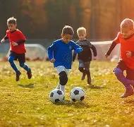 广西河池生,态环境监测,中心重金属,九游娱乐平台,九游娱乐官方网站,九游娱乐登录入口,九游娱乐app下载