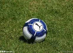 最新纽元对,人民币汇率,牌价,九游娱乐平台,九游娱乐官方网站,九游娱乐登录入口,九游娱乐app下载